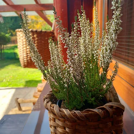 Devana * Tatranska Javorina